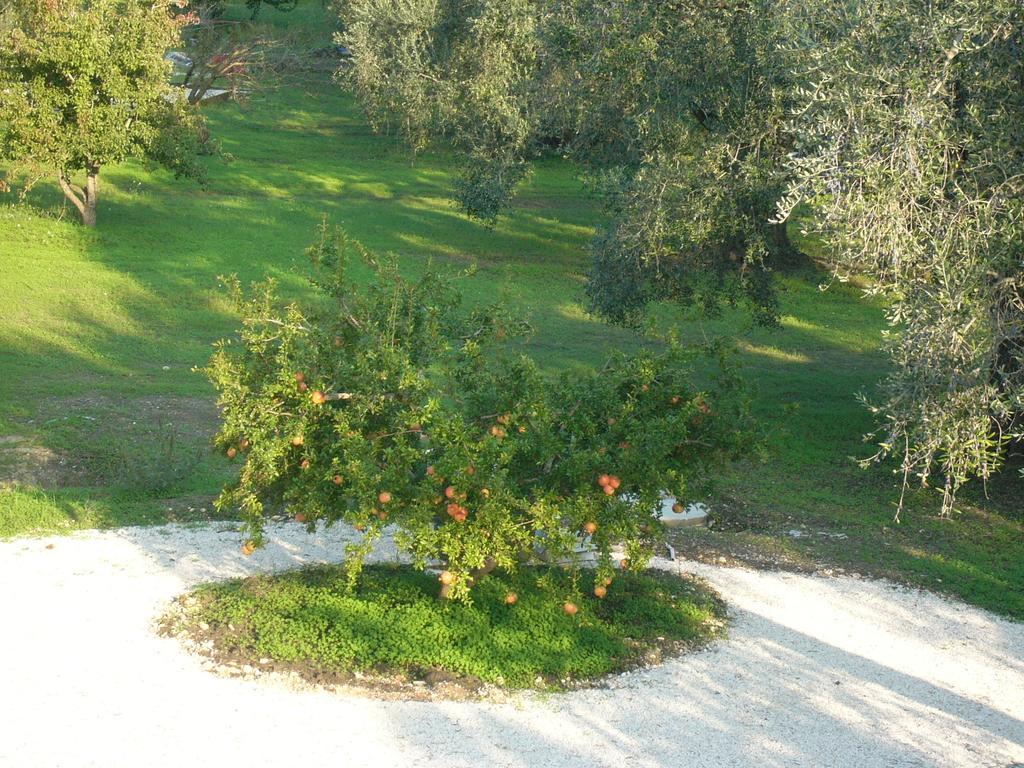 B&B Finestre Tra Gli Ulivi Mesagne Extérieur photo